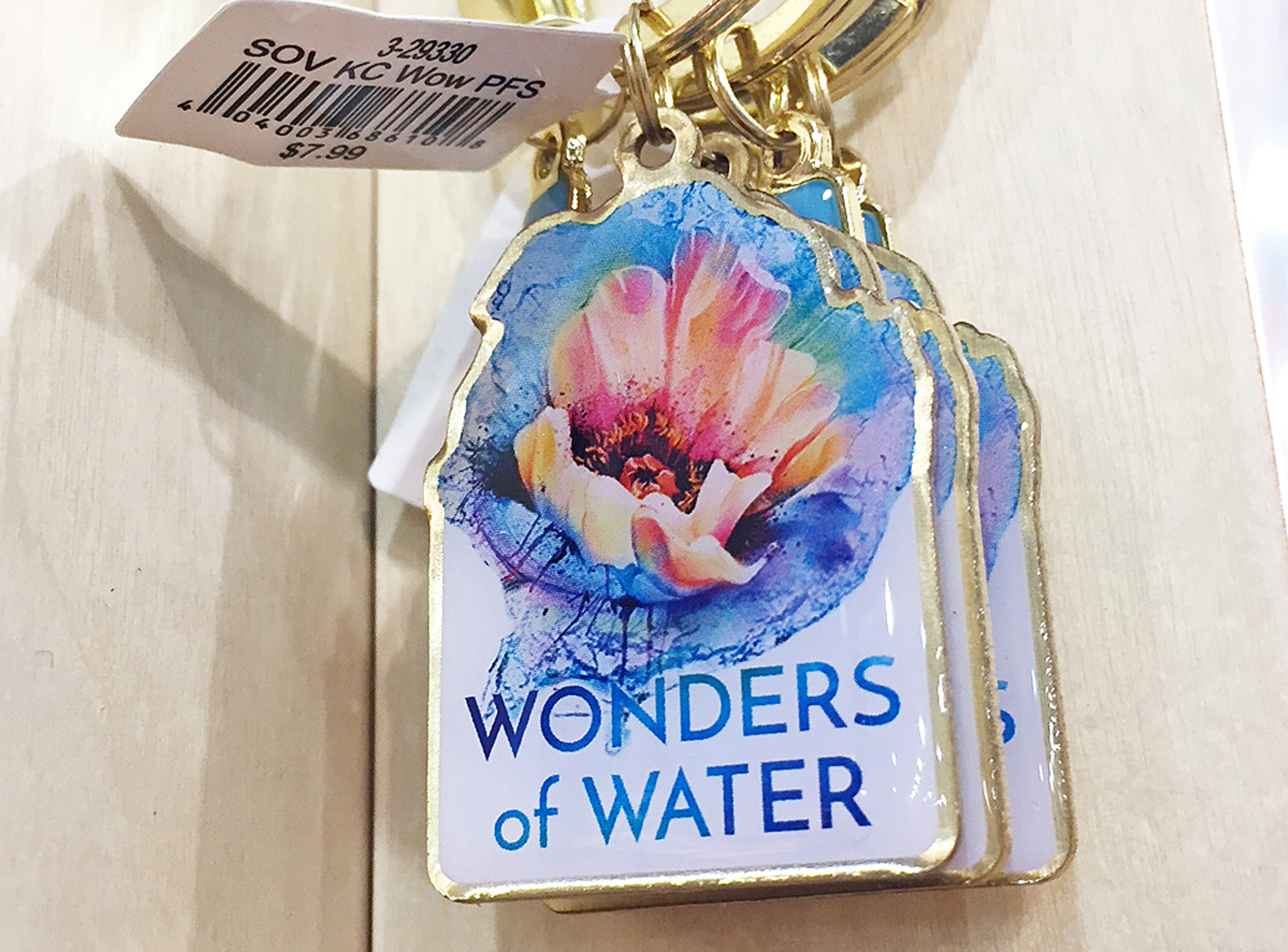 Keychain for the 2018 PHS Philadelphia Flower Show.