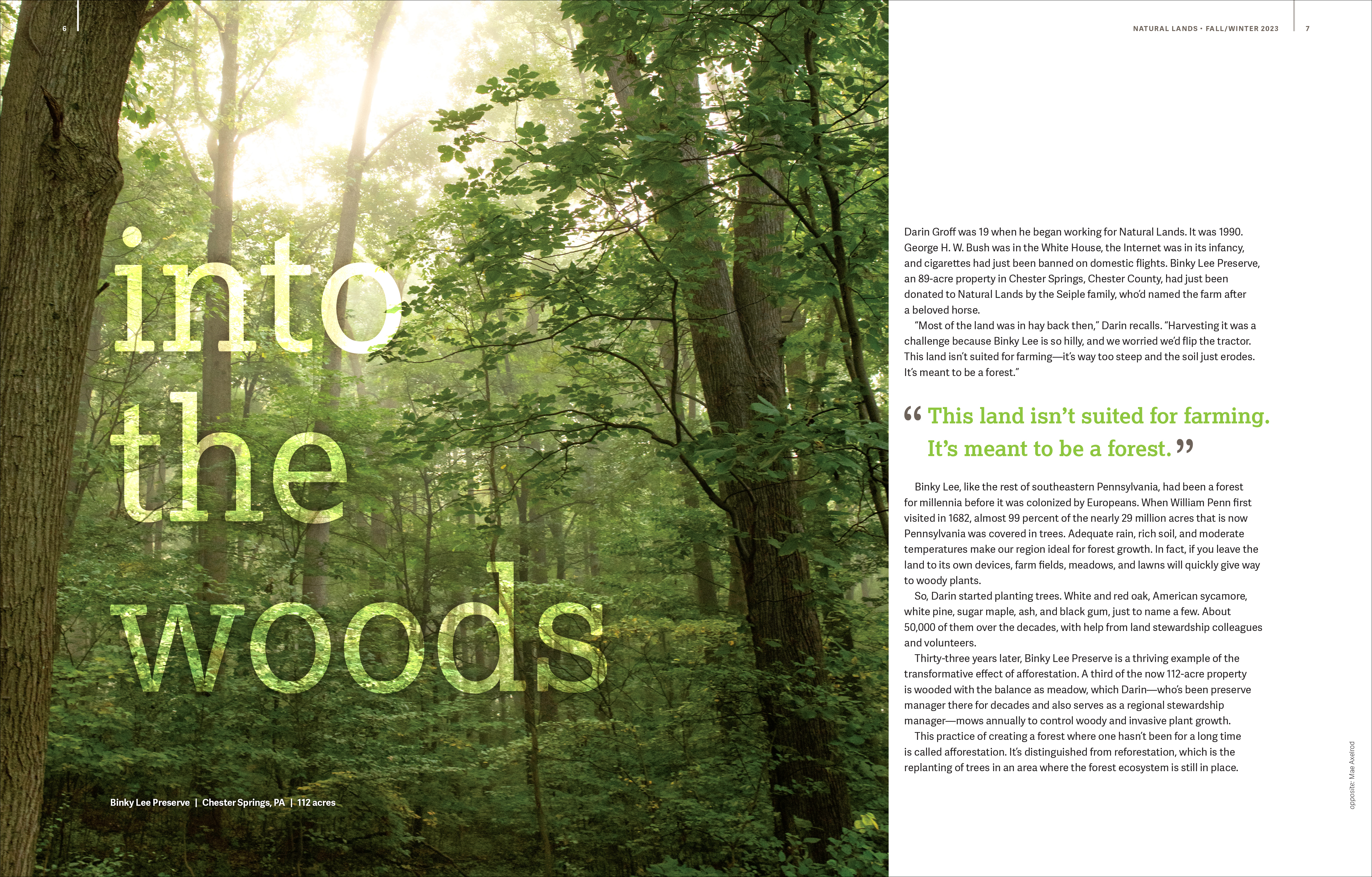 First spread of Into the Woods article from Natural Lands 2023 Fall/Winter Magazine.