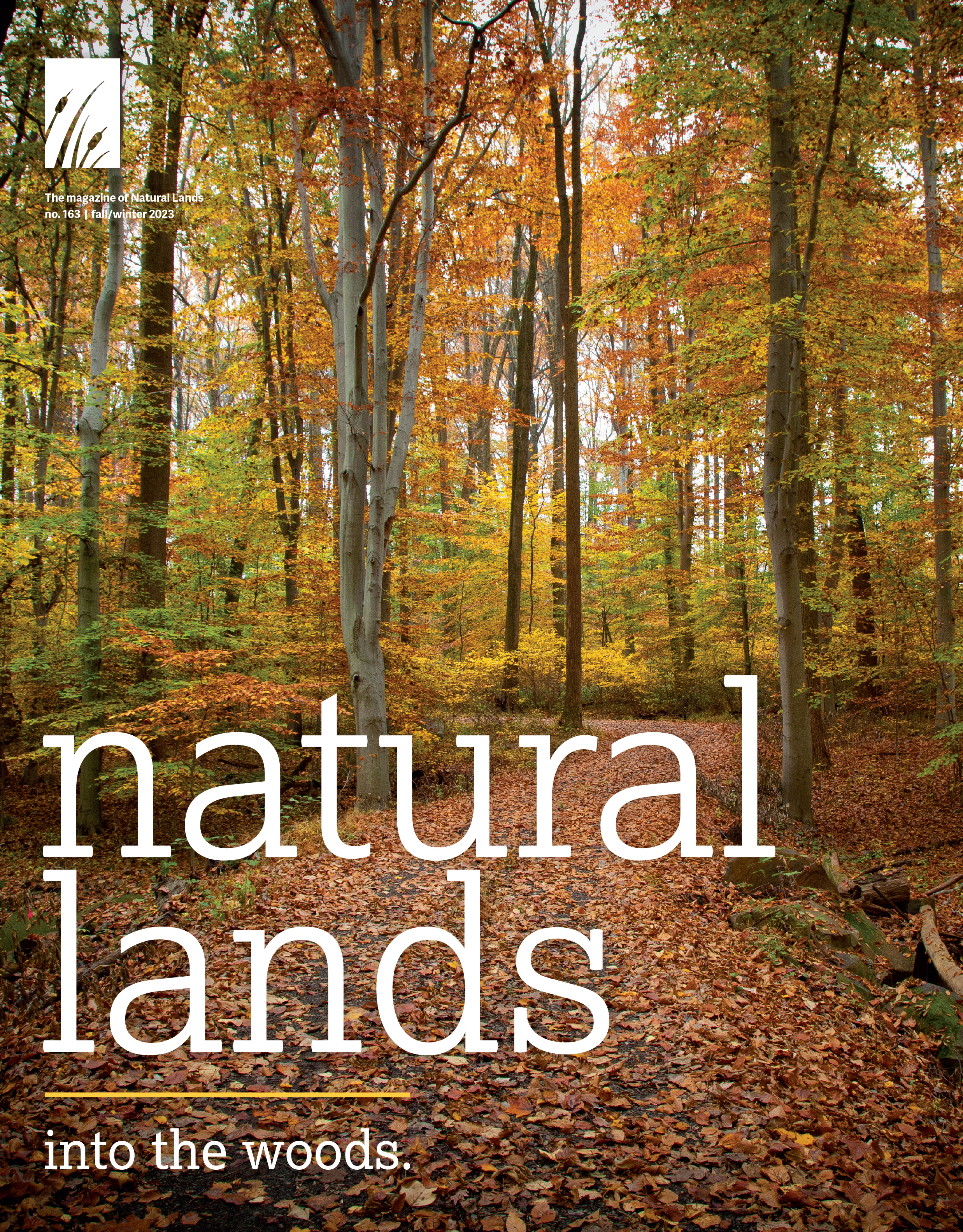 Cover of Natural Lands 2024 Summer Magazine.