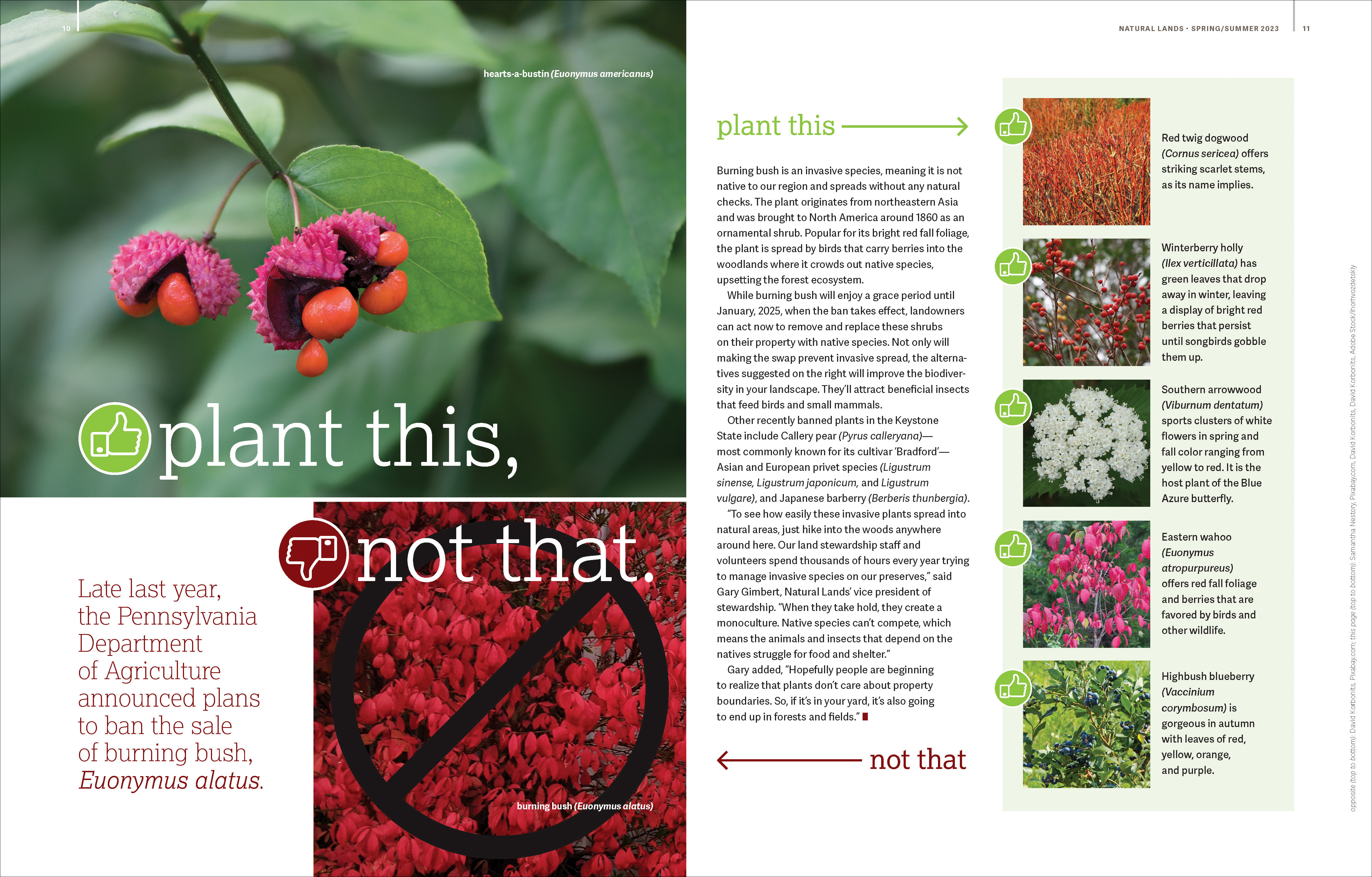 Spread of Plant This, Not That article from Natural Lands 2023 Spring/Summer Magazine.