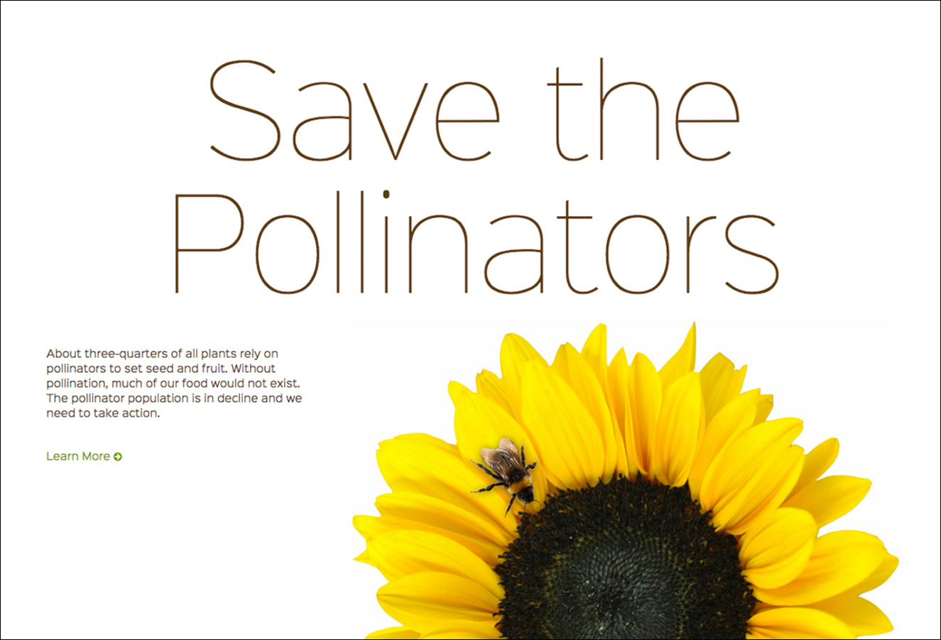 Home page design for Save the Pollinators website.