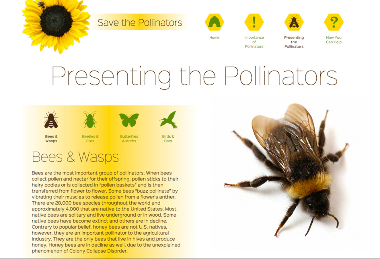 Presenting the Pollinators page design for Save the Pollinators website.