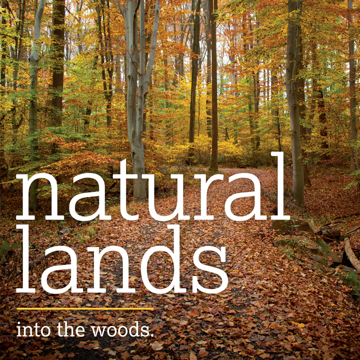 Design spreads from Natural Lands' magazine.